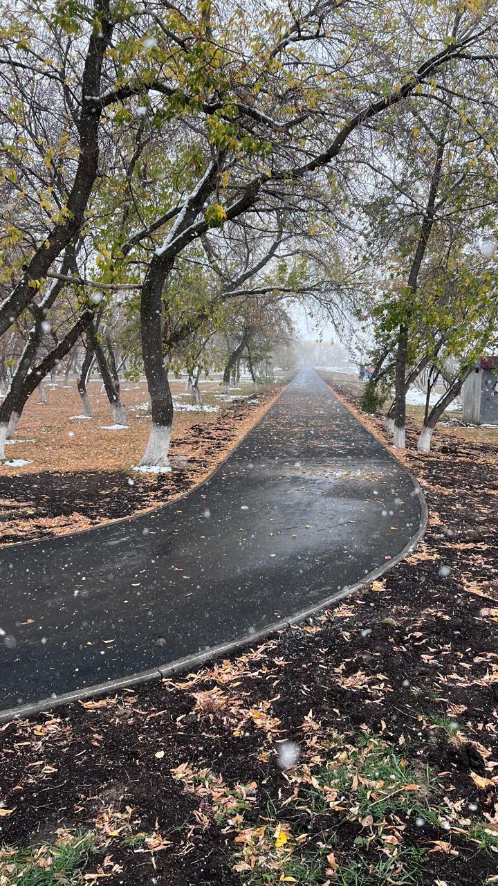 АдминистрацияТюкалинского ГородскогоПоселения, 2025г.